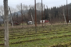 IMG-20230307-WA0026