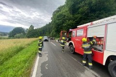 IMG_7547