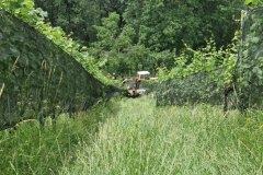 IMG-20240621-WA0028