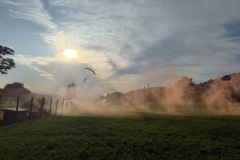 Kopie-von-IMG_2548