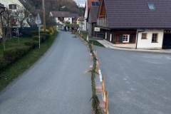 image009