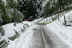 IMG-20240423-WA0013